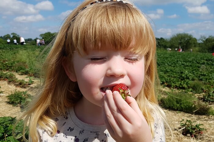 Girl eating a strawberry